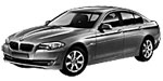 BMW F10 P301F Fault Code